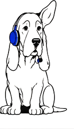 Roger, a bloodhound in a headset, sitting at attention